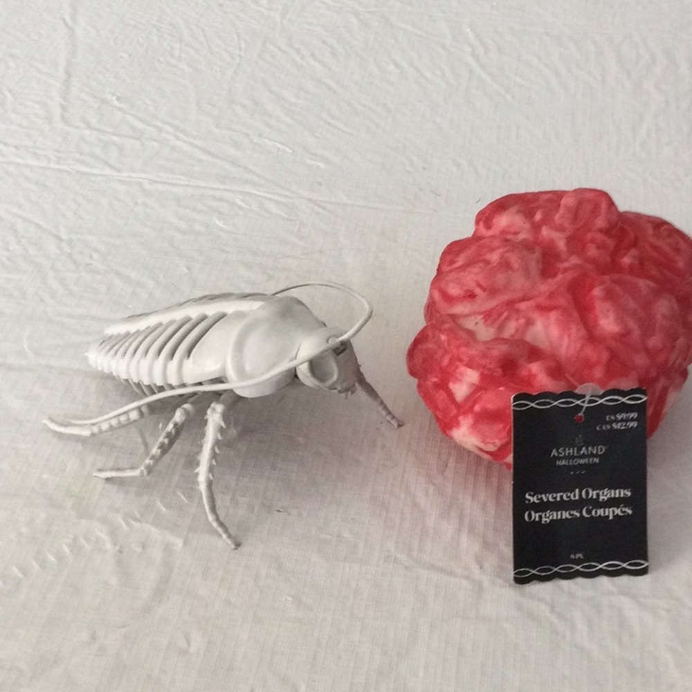 Ashland Halloween Decor Set bug & severed organ New